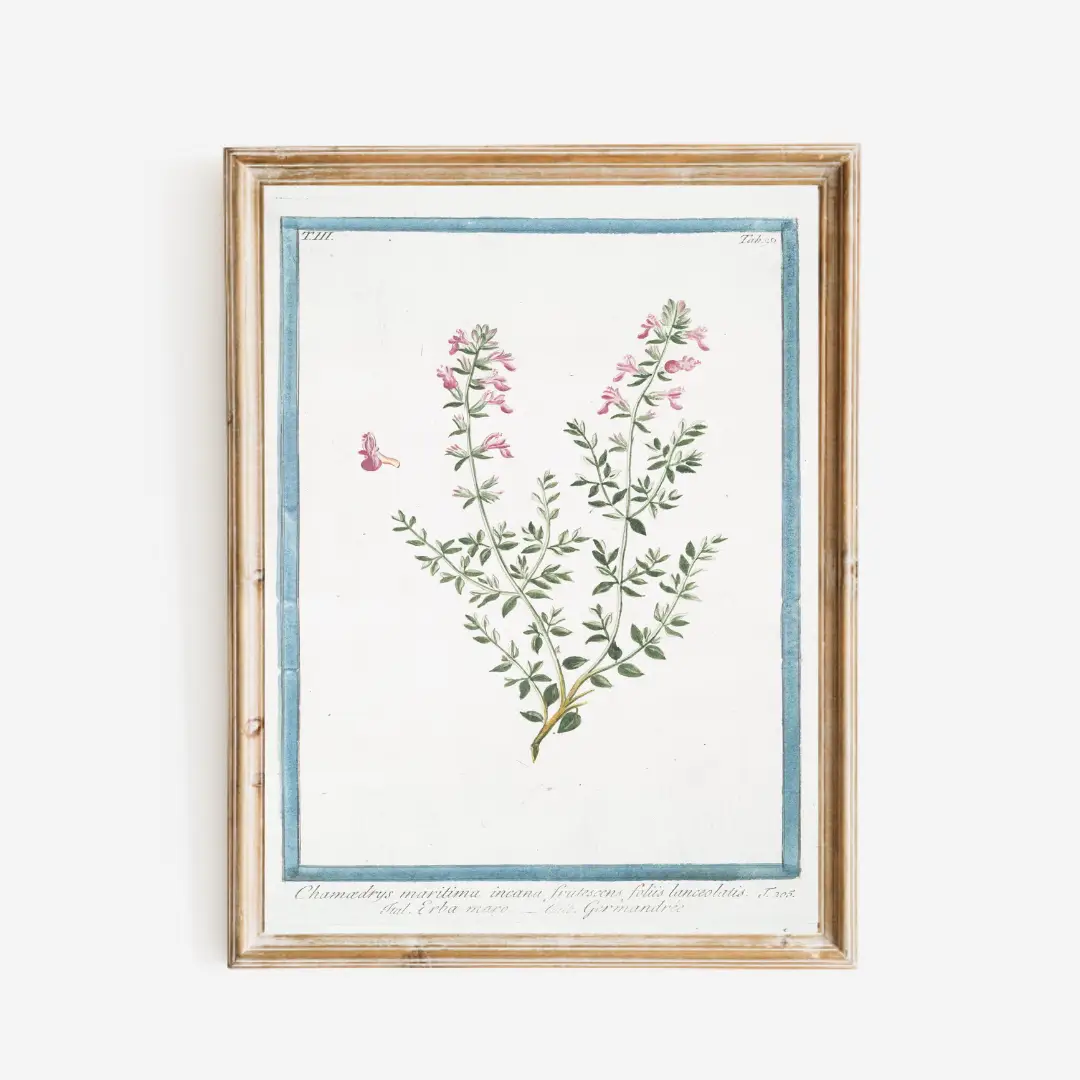 Print, 18th Century Pink Floral - Danshire Market and Design 