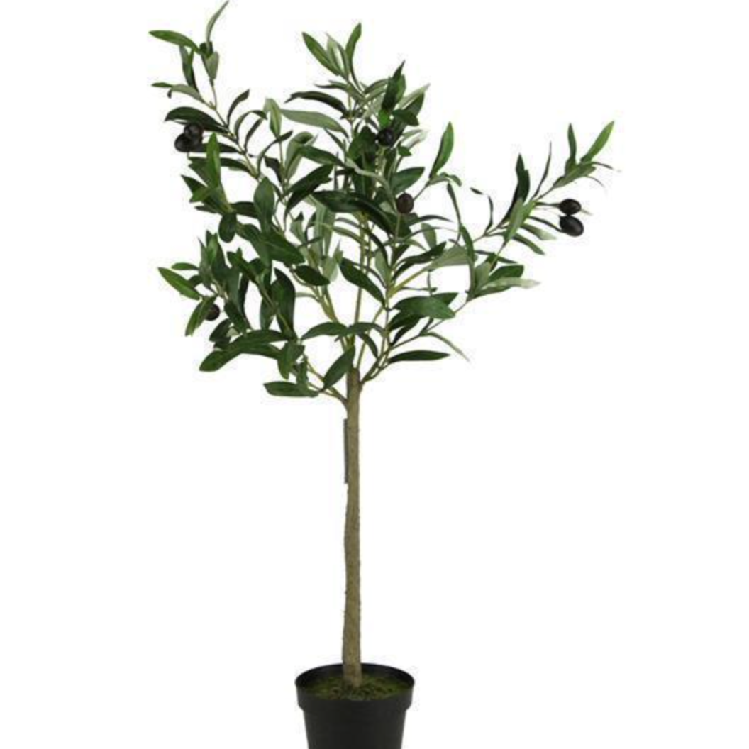 Olive Tree Insert, 30"H - Danshire Market and Design 