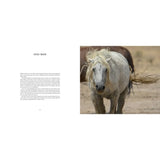 Book, Wild Horses of the West