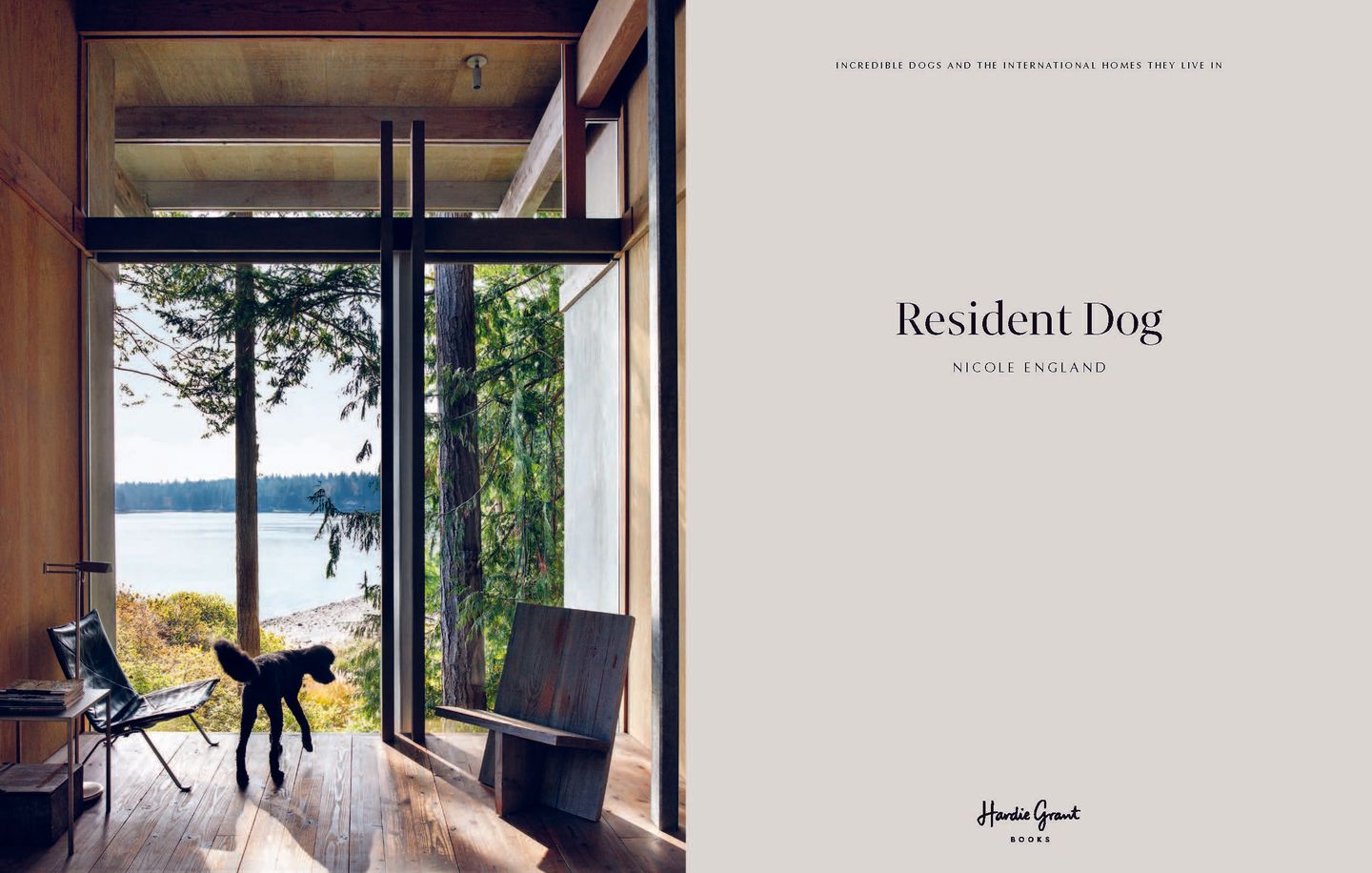resident dog volume ii hardcover coffee table book