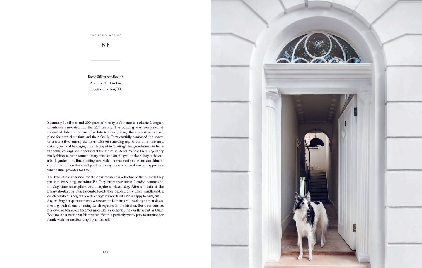 resident dog volume ii hardcover coffee table book
