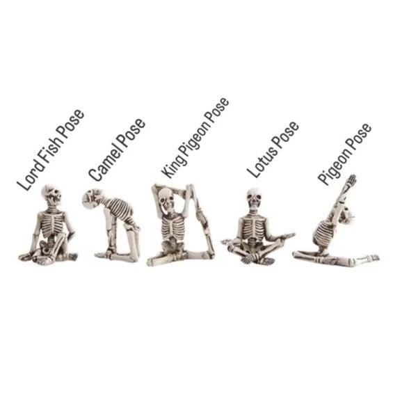 small resin skeletons in yoga positions, five styles