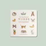 Children's book titled 'Our Big Book of Words' with illustrations on a light green background