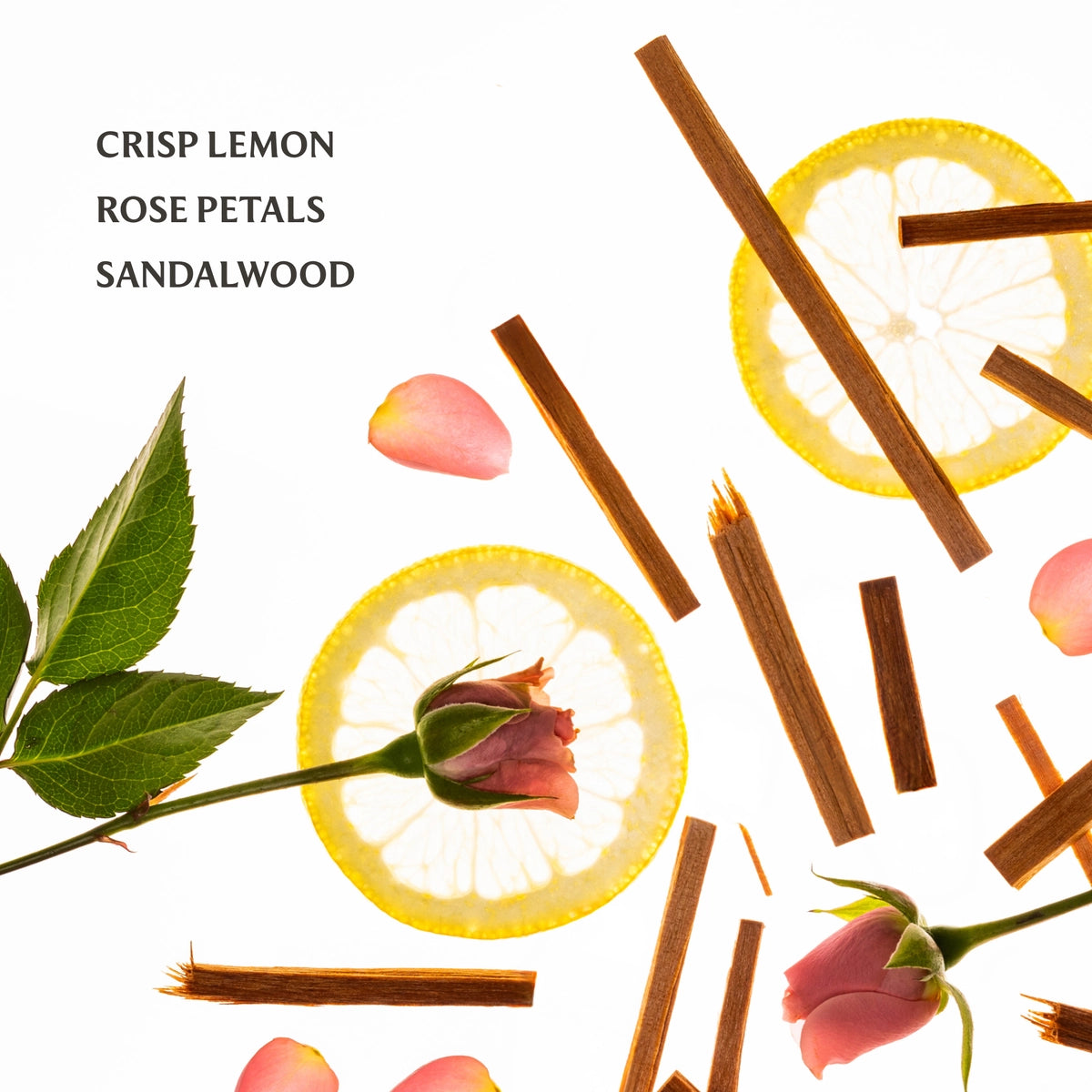 Spices and herbs with lemon slices, rose petals, and sandalwood on a white background.