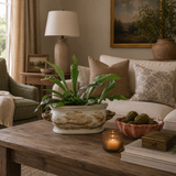 A green leafy plant in a decorative beige and white ceramic planter sits on a rustic wooden coffee table in a cozy living room setting with a sofa, pillows, a lit candle, and books.