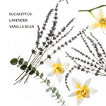 Eucalyptus, lavender, and vanilla bean with flowers on a white background