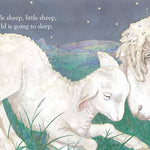 Illustration of two sheep in a grassy field with a night sky.