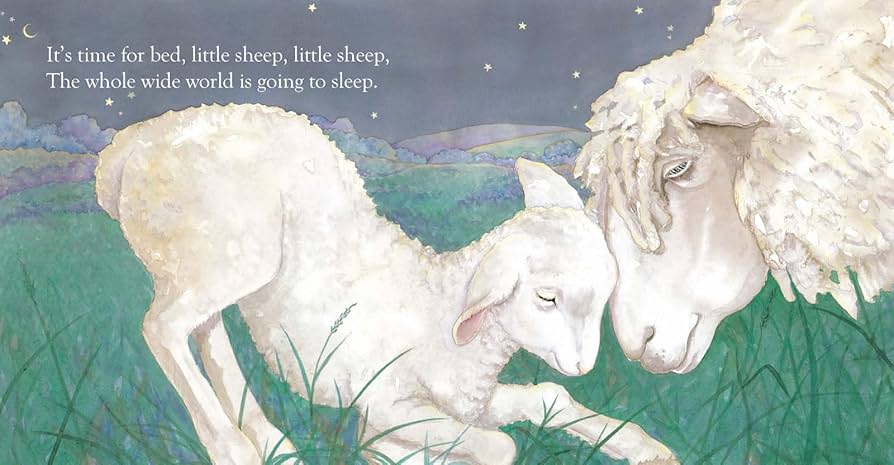 Illustration of two sheep in a grassy field with a night sky.