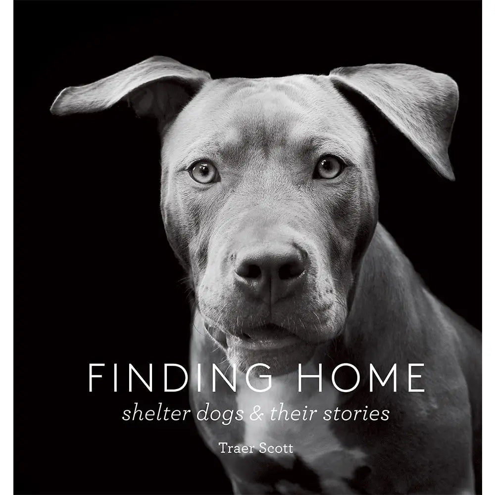 finding home book