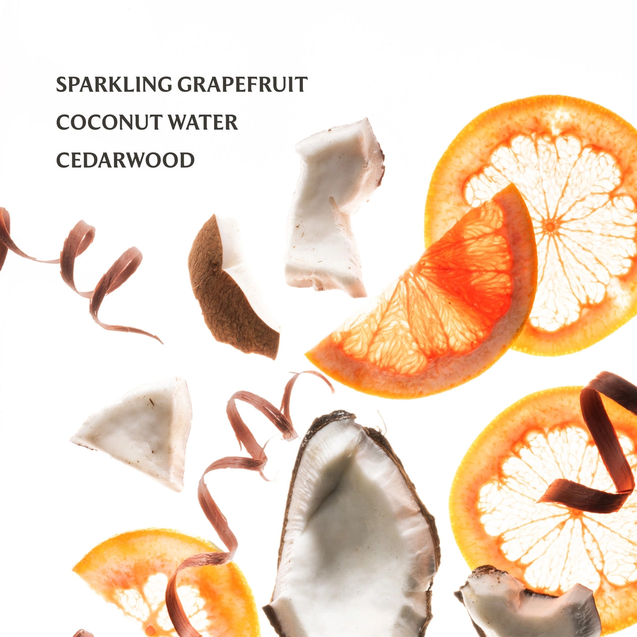 Grapefruit slices and coconut pieces with text on a white background