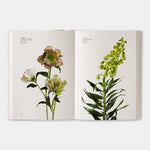 Open book showing images of flowers on a white background