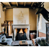 Cozy living room with fireplace, sofa, and deer head mounted on the wall.