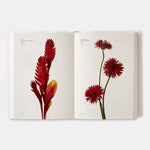 Open book showing images of red flowers on a white background