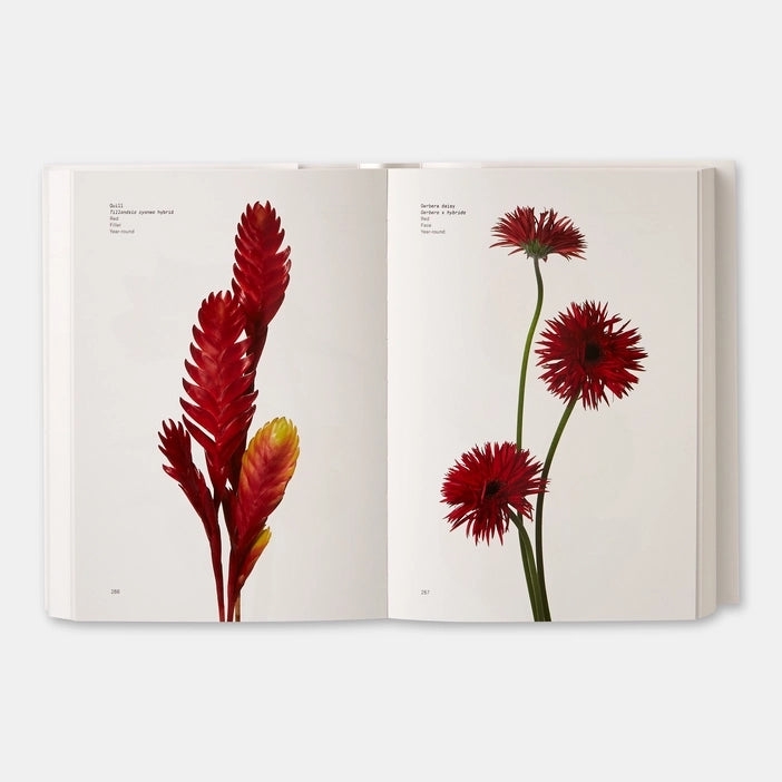 Open book showing images of red flowers on a white background