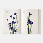 Open book showing illustrations of blue flowers on a white background