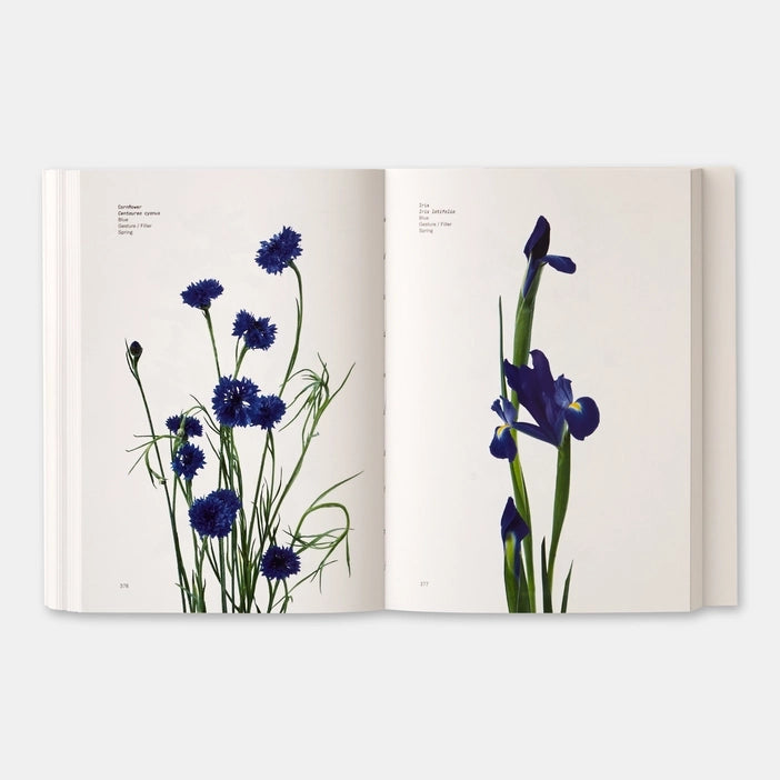 Open book showing illustrations of blue flowers on a white background