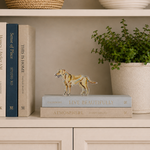 Decorative shelf with books, a dog figurine, and a plant.