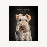 year of the dogs coffee table book