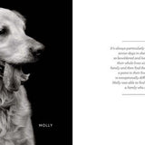 finding home shelter dogs and their stories hardcover book