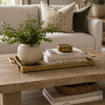 Decorative tray with a plant, books, and a bowl on a wooden coffee table in a living room.
