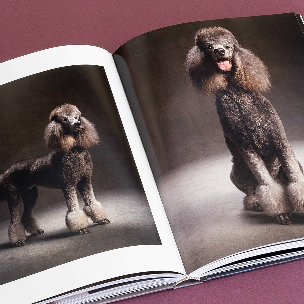 year of the dogs coffee table book