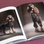 year of the dogs coffee table book