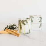 Frasier Fir - Pine Needle Candle - Danshire Market and Design 