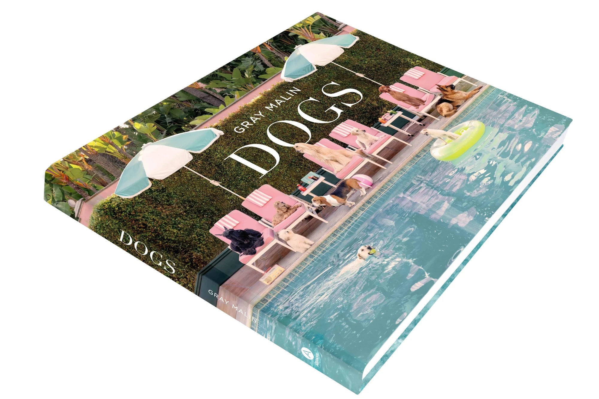 Book titled 'Dogs' with a colorful cover featuring images of dogs and people.