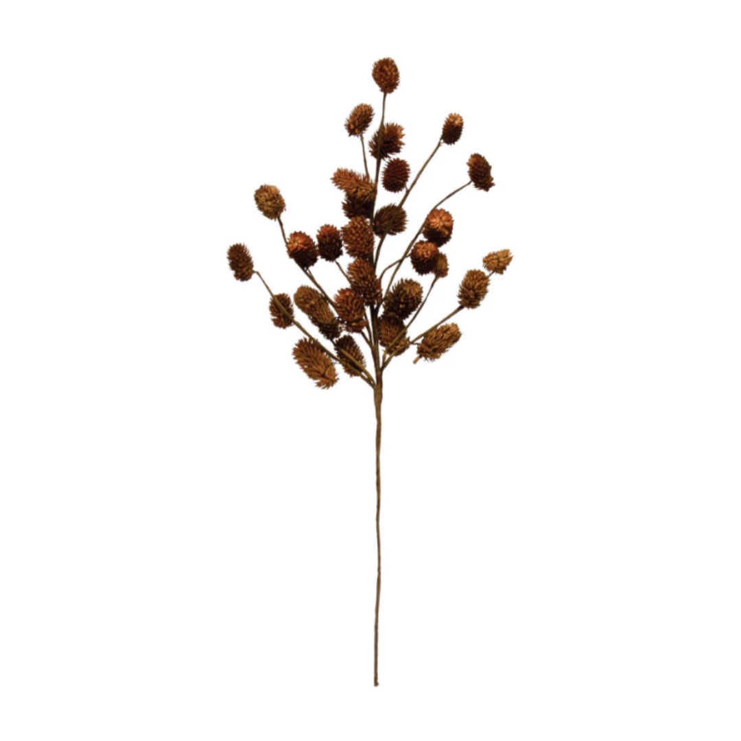 16-3/4"H Dried Natural Thistle Pick, Coffee