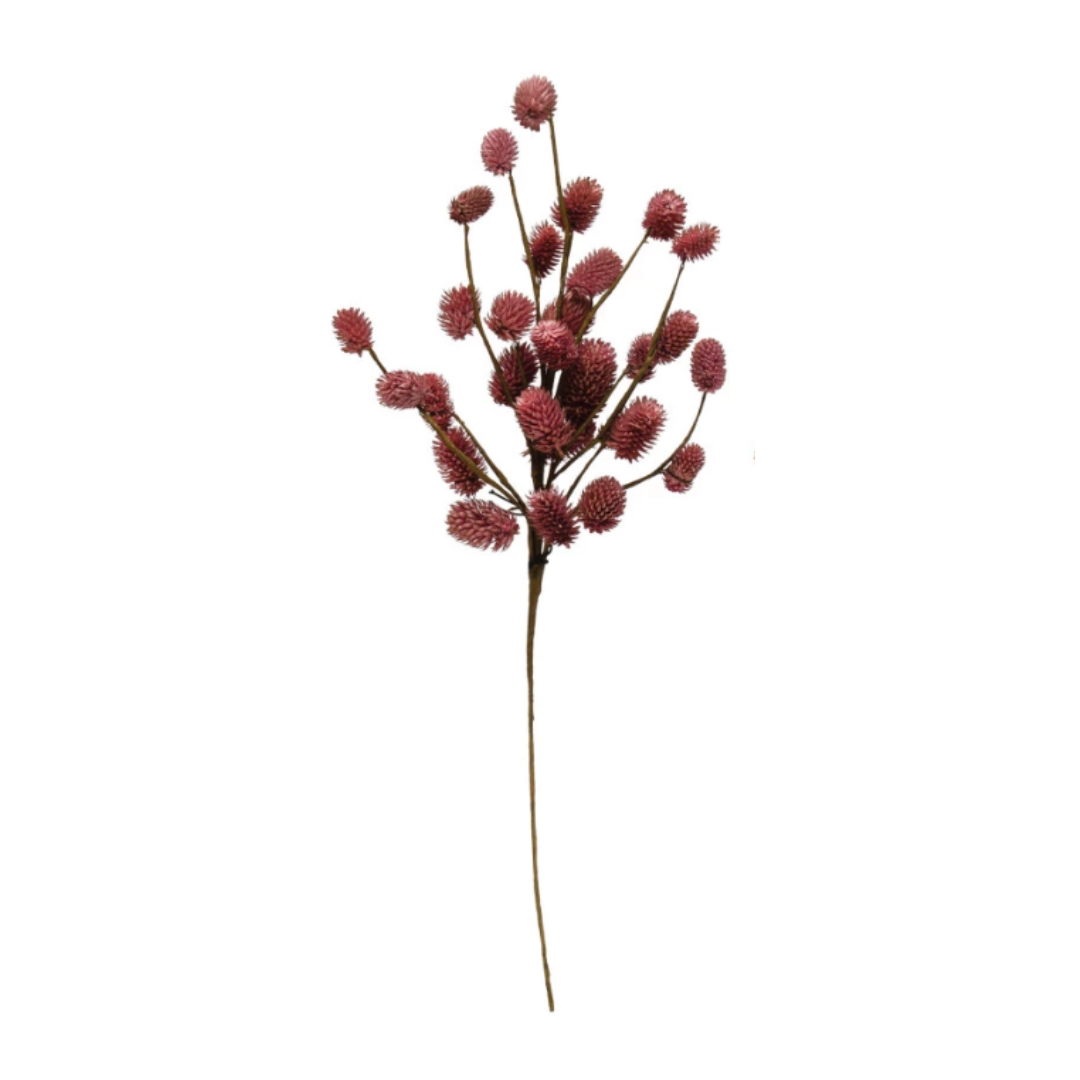16-3/4"H Dried Natural Thistle Pick, Plum