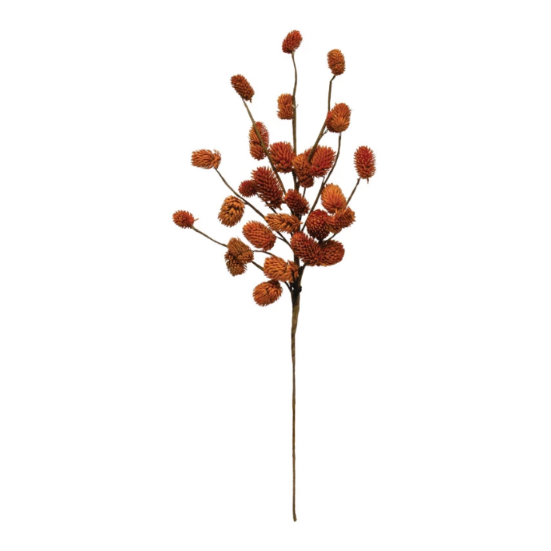 16-3/4"H Dried Natural Thistle Pick, Russet