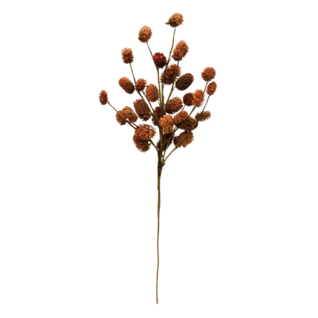 16-3/4"H Dried Natural Thistle Pick, Mocha