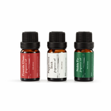 Holiday Home Fragrance Trio - Danshire Market and Design 