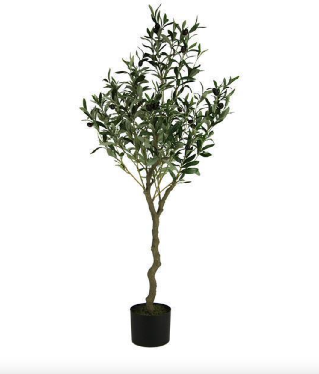 olive tree insert 48"H