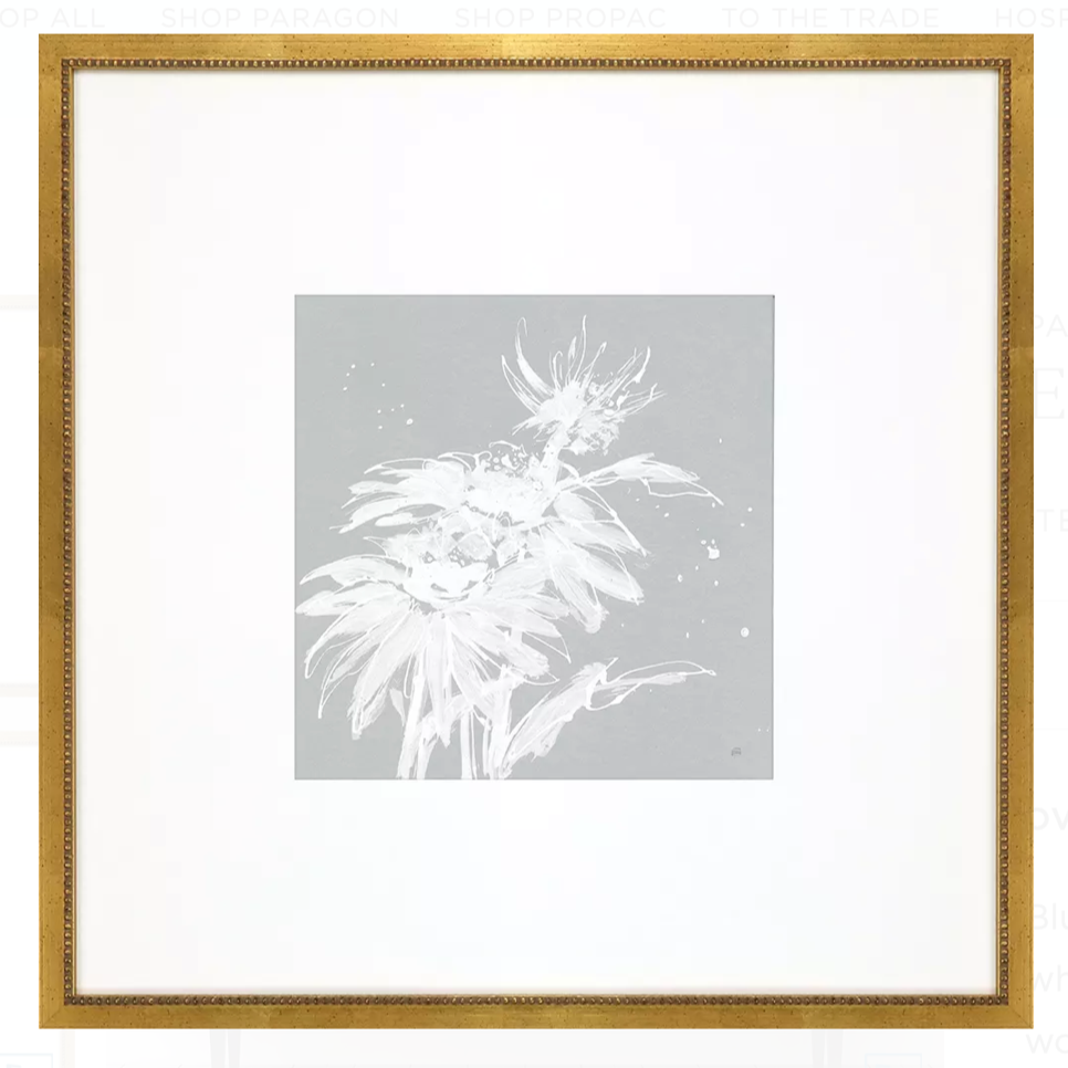 Print, Echinacea