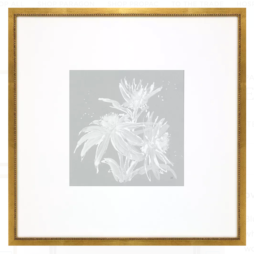 Print, Echinacea
