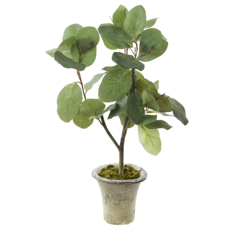 fake eucalyptus potted plant Faux Potted Eucalyptus – Danshire Market and Design