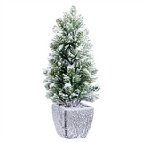 snowy potted pine tree