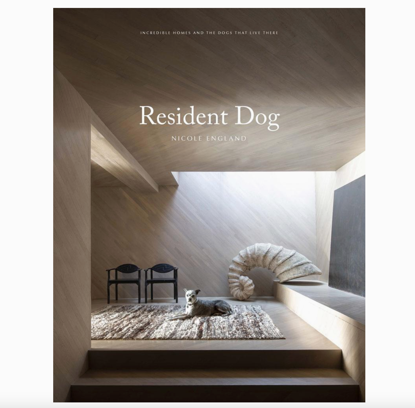 resident dog book volume 2