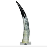 black and white cow horn on base