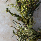 40" Forest Wreath