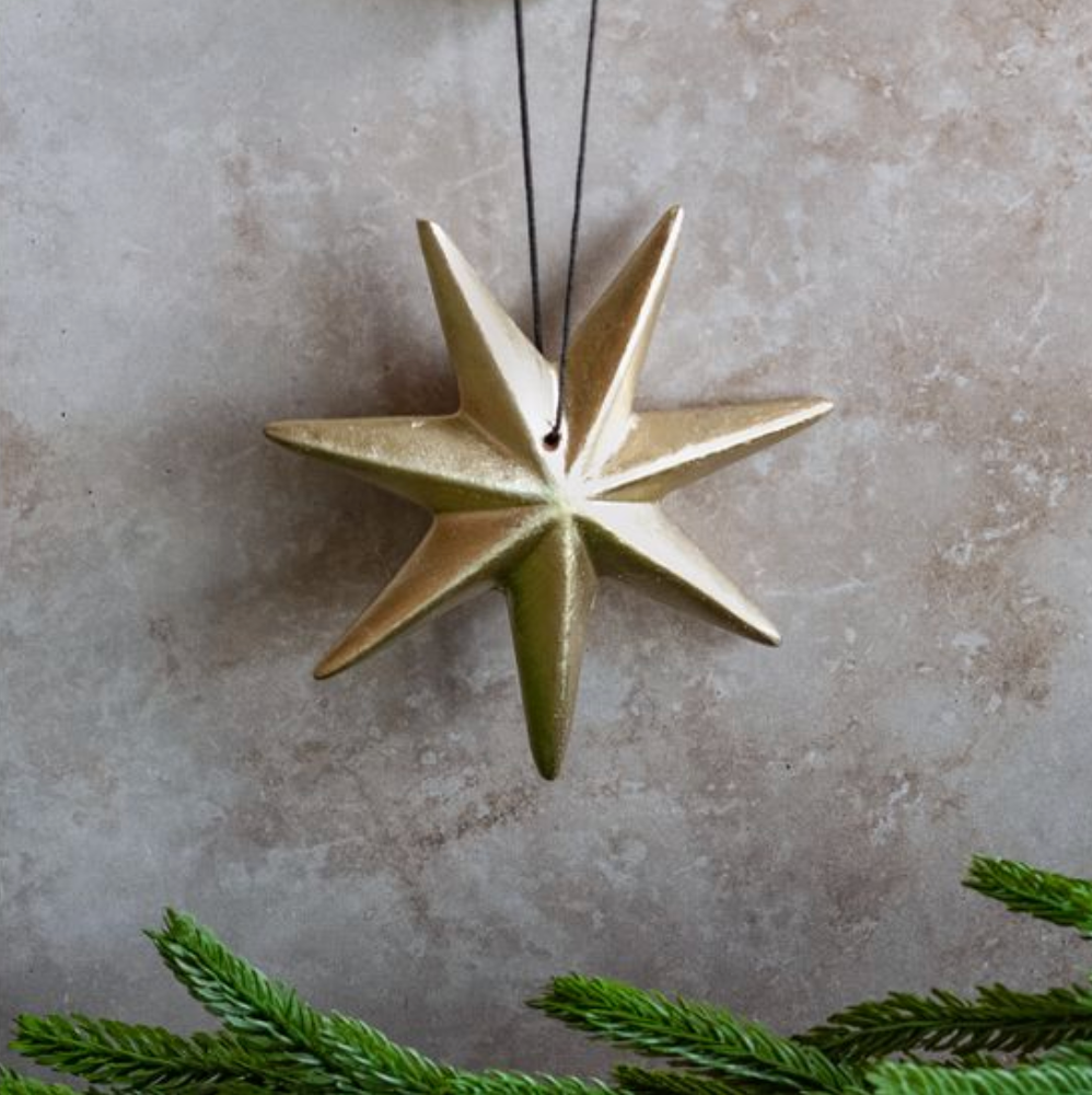 Decorative star ornament hanging on a neutral background with greenery at the bottom.