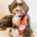 golden doodle holding Plush Barkweiser Beer Bottle dog toy with embroidered “King of Barks” label and hidden squeaker inside.