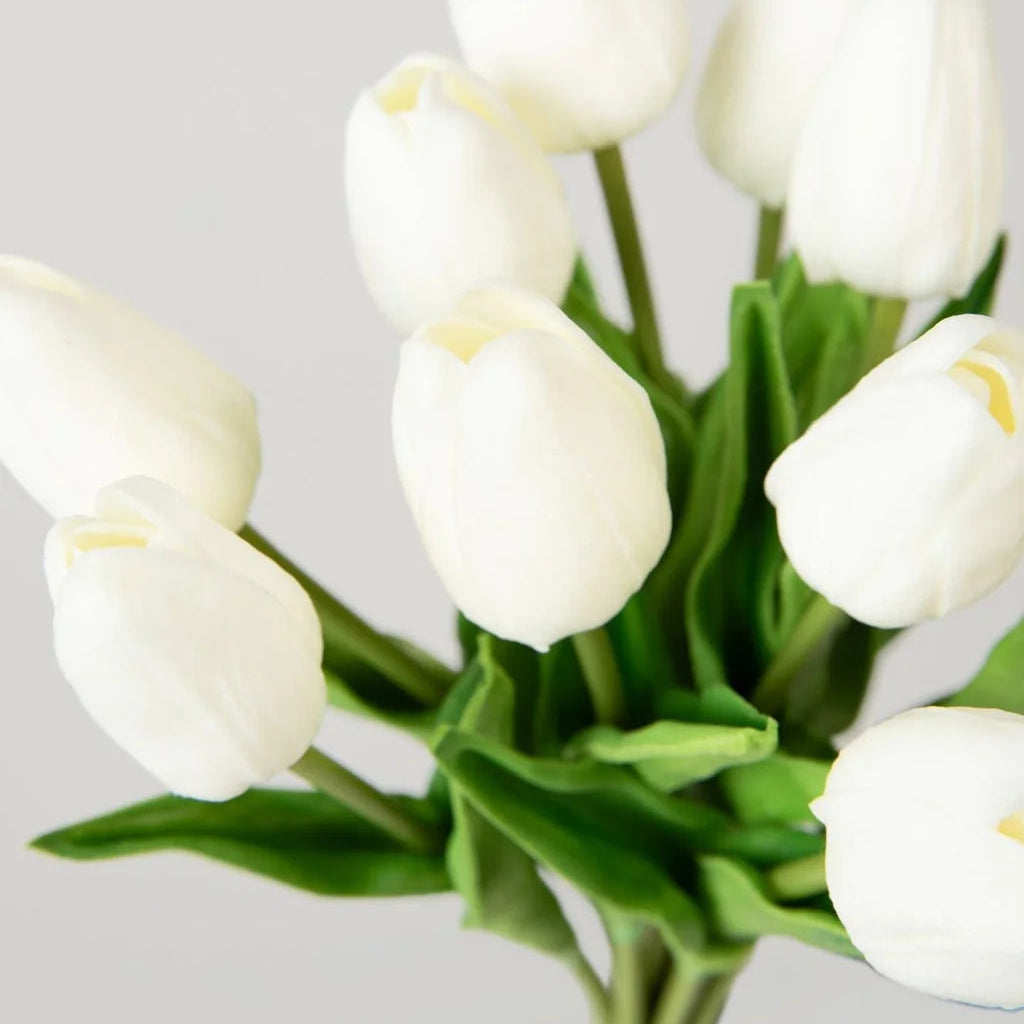 Bouquet of white tulips on a light gray background