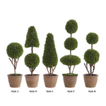 Set of five potted topiary plants with different styles on a white background