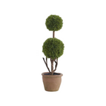 Potted plant with two spherical green balls on a white background