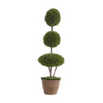 Three-tiered topiary plant in a pot on a white background