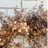 Eucalyptus Desert Wreath
