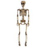 36" Gold Skeleton
