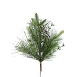 mountain pine spray, multiple shades of green stems